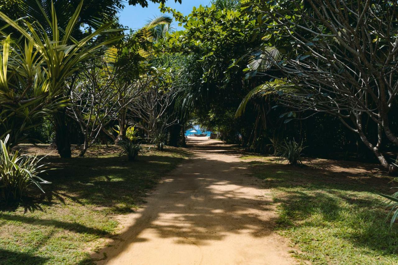 Amal Beach Hotel Bentota Exteriör bild